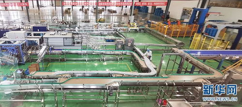 云南社科专家团赴楚雄州调研 为产业发展与网络科技融合建言献策